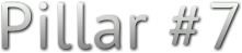 Pillar #7 Pillar #7